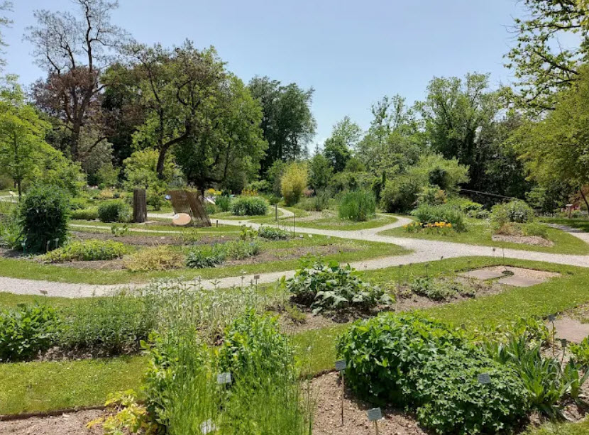Fribourg University Botanical Garden, Fribourg, Switzerland, Switzerland